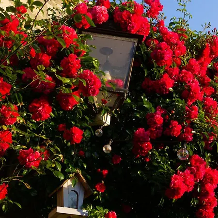 Vakantiehuis Parenthese Vexinoise *